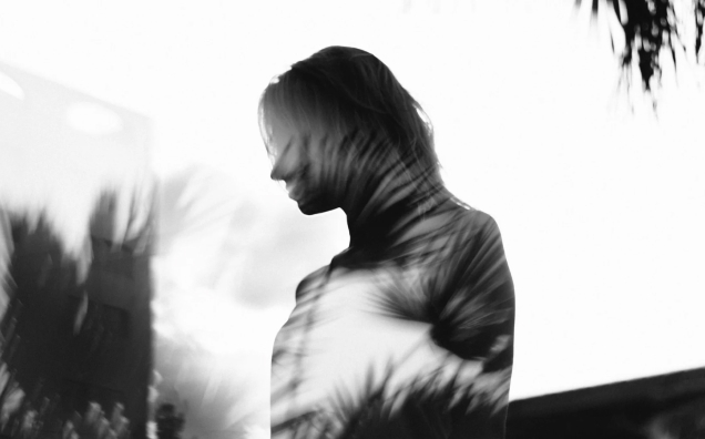 A silhouetted person with reflections of leaves overlayed